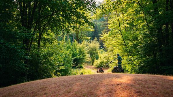 10 avantages de la débroussailleuse pour un élagage optimal